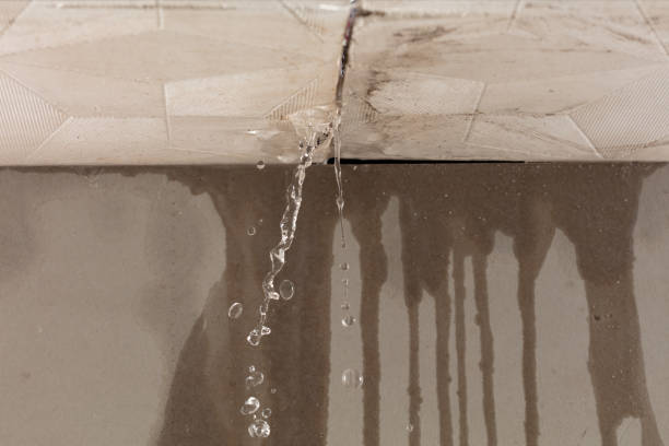 Professional Water Damage Inspection technician working in Bradgate, IA
